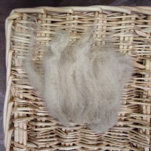 Asha fibra sense rentar