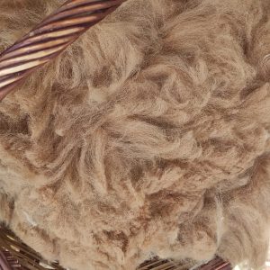 Cusco fibra sense rentar