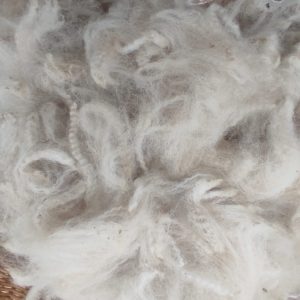 Panache fibra sense rentar