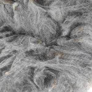 Qashmir fibra sense rentar