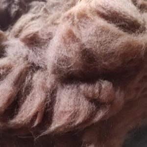 Gus Gus fibra sense rentar